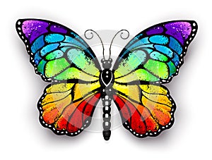 Rainbow monarch butterfly