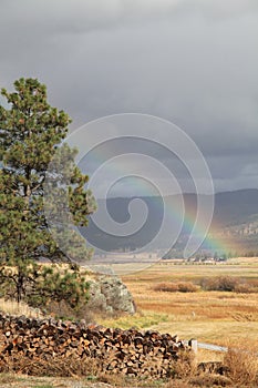 Rainbow in Montana