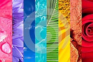 Rainbow of nature, colorful nature photo collage, vivid colors