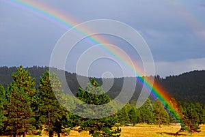 Rainbow Natures Beauty