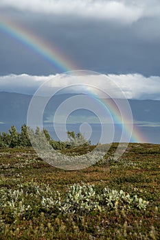 Rainbow in The North