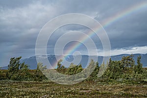 Rainbow in The North