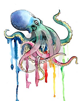 Rainbow octopus