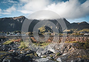 Rainbow ofer red houses rorbuer of Reine in Lofoten, Norway with red rorbu houses, clouds, rainy blue sky and sunny