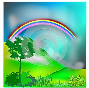 Rainbow is an optical illusion
