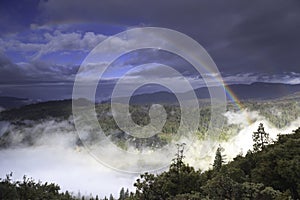 Rainbow over California forest