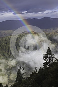 Rainbow over California forest