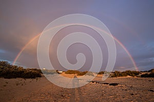 Rainbow over dunes and a dune road. Corralejo National Park, morning, Las Palmas Province, Fuerteventura, Canary Islands, Spain
