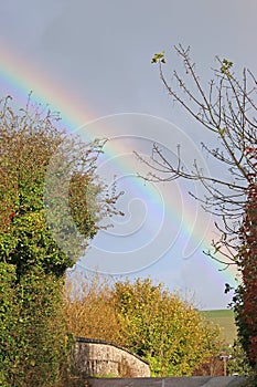 Rainbow over fields