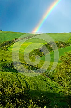 Arcoíris a través de campo 