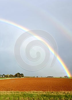 Rainbow Over Fields