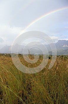 A rainbow over fields, Uganda