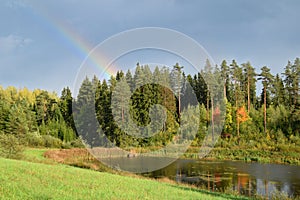 The rainbow over forest at countryside.