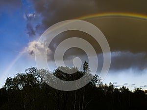 Rainbow over the forest after rain with a thunderstorm. Evening rainbow observed from the countryside