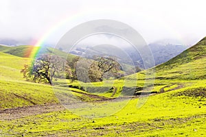 Rainbow Over Green Hills and Meadows in Spring