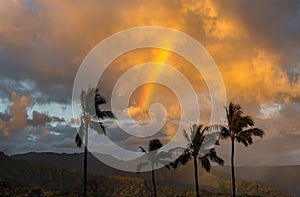 Rainbow over Hanalei mountains from Princeville Kauai photo