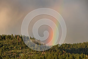 Rainbow over the Hill