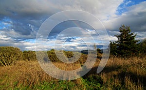 Rainbow Over the Late Summer Meadow