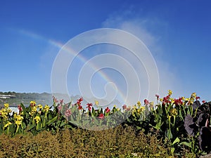 Rainbow over Niagara Falls, Flower, Ontario