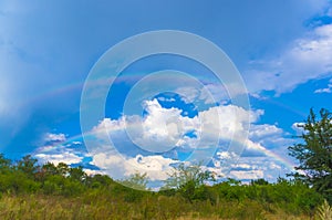 rainbow over the orchard