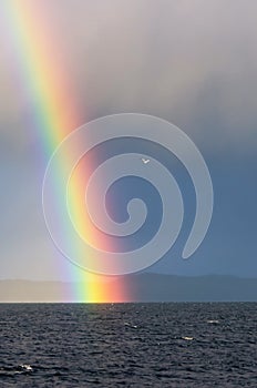 A rainbow over the sea in the sunset