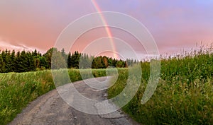 Rainbow over the summer field