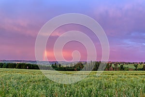 Rainbow over the summer field