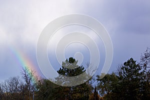 Rainbow over Trees  834881