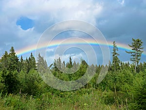 Rainbow over trees at Strbske pleso in Tatras mountains.