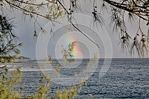 Rainbow Over the Water in Kauai, Hawaii