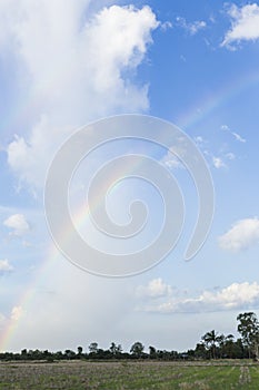 Rainbow on paddy field