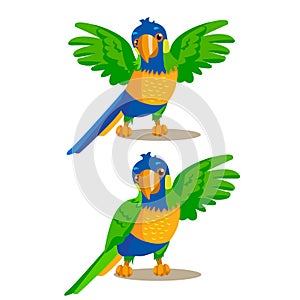 Rainbow Parrot Pointing Or Showing Something With His Wing. Vector Illustration.