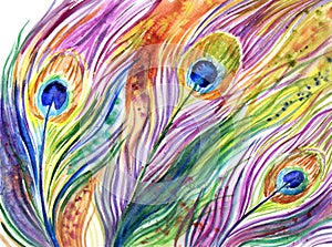 Rainbow peacock feathers, abstract watercolor painting