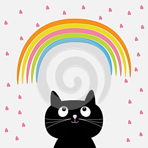 Rainbow and pink heart rain with cute cartoon cat. Flat design style.