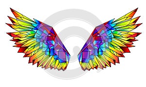 Rainbow polygonal wings on white background