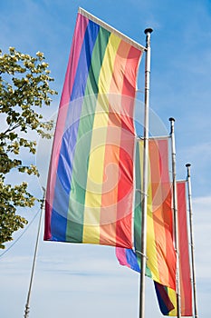 Rainbow pride flags on flagpoles against blue sky. LGBT pride parade. Pride parades outdoor events celebrating lesbian