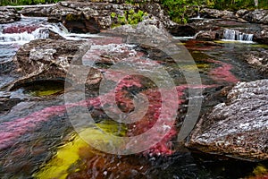 The rainbow river or five colors river is in Colombia