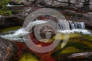 The rainbow river or five colors river is in Colombia