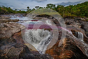 The rainbow river or five colors river is in Colombia