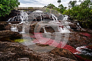 The rainbow river or five colors river is in Colombia