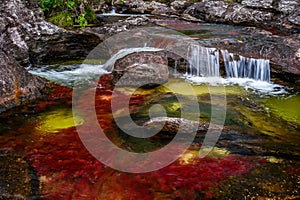 The rainbow river or five colors river is in Colombia