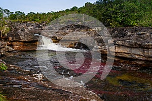 The rainbow river or five colors river is in Colombia