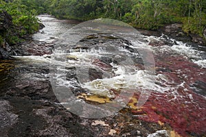 The rainbow river or five colors river is in Colombia