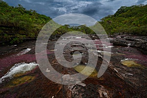 The rainbow river or five colors river is in Colombia