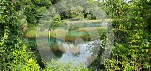 Rainbow River headspring, Florida