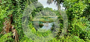 Rainbow River headspring, Florida