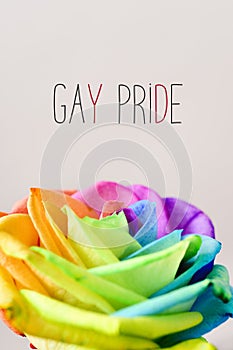 Rainbow rose and text gay pride