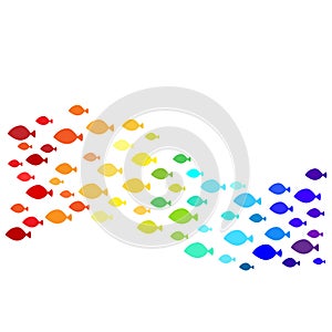 Rainbow shoal of fish