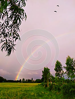 Rainbow sky