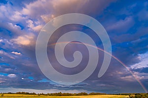 Rainbow Sky Arch on a dramatic stormy sky over yellow fields. A magical natural optical phenomenon that delights